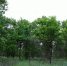 DSC00278 - Газета Донской вестник