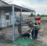 31 08 24 - Газета Донской вестник