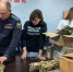 18 11 24-4 - Газета Донской вестник