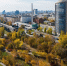 20 11 24-1 - Газета Донской вестник