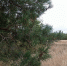 07 08 25 - Газета Донской вестник