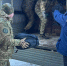 05.02.2026-1 - Газета Донской вестник